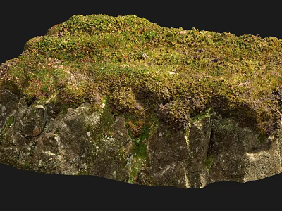 Natural Stone And Wood Decorative Elements With Mossy Surface Texture Details 3d model