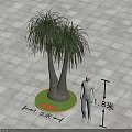 Twin Trunk Arbor on Circular Green Lawn with 1.5m Diameter 1.83m Height Beside Human Figure