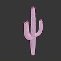 Tall Green Cactus Plant With Branching Arms And Spiny Texture Against Dark Background