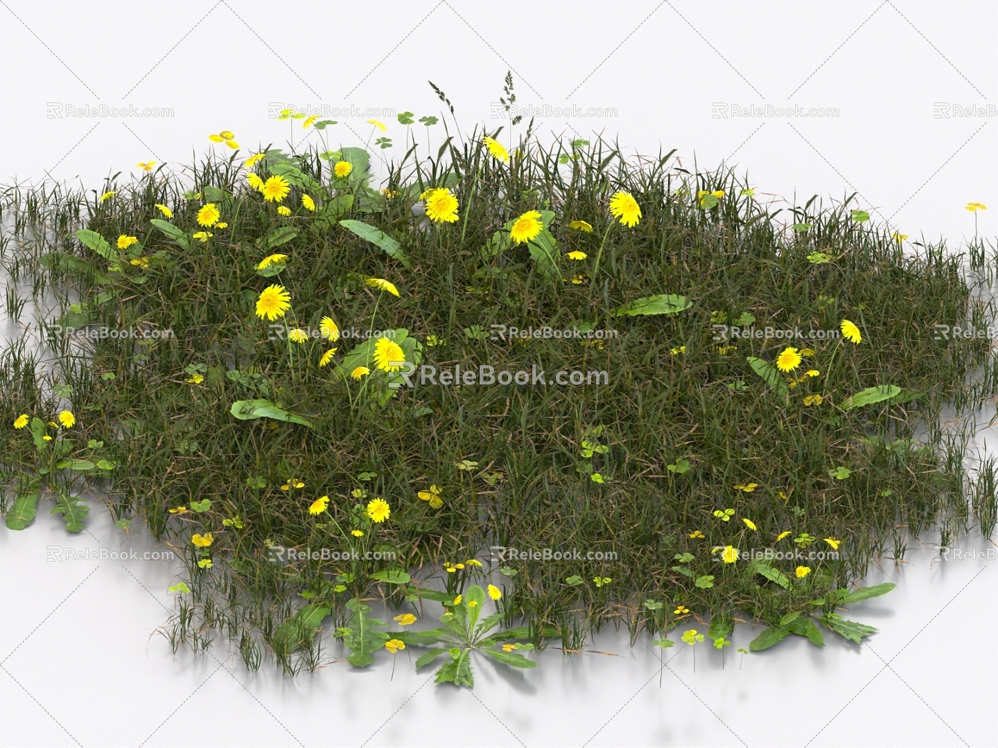 grass grass grass grass grass lawn grass grass mound weeds grass grass grass grassland 3d model