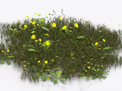 Vibrant Yellow Flowers Green Grass And Fresh Leaves In Natural Garden View 3d model Vibrant Yellow Flowers Green Grass And Fresh Leaves In Natural Garden View 3d model