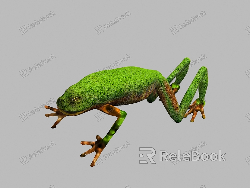 Frog model