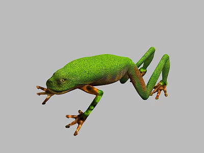 Green Reptile With Bright Green Skin And Orange Feet Stretched Limbs On Gray Background 3d model