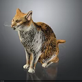 Orange and White Cat Sitting on Black Background with 3D Model Design