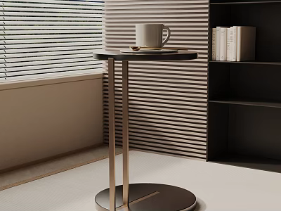 Modern Round Side Table With Metal Frame Near Window And Bookshelf With Mug 3d model