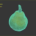 Fresh Round Yellow And Green Gourd With Green Stem On Dark Background
