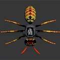 Wasp 3D Model With Detailed Yellow Black Body Transparent Wings Orange Legs Red Yellow Head