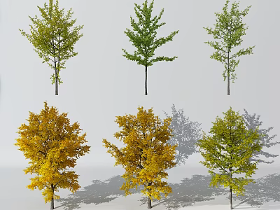Varieties of Arbor Trees With Green And Yellow Foliage In Garden Settings 3d model