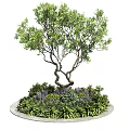 Circular Tree Pit With Curved Tree Trunk Green Plants And Purple Flowers