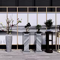 Bonsai Potted Plants Displayed on Stands with Wooden Screen in Modern Interior