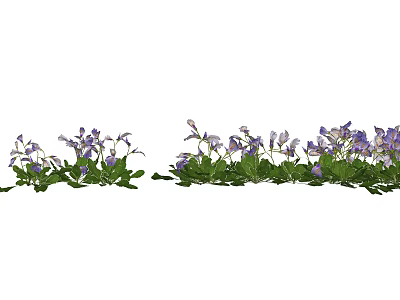 Vibrant Purple Flowers and Green Plants Arranged in a Row with Fresh Leaves 3d model