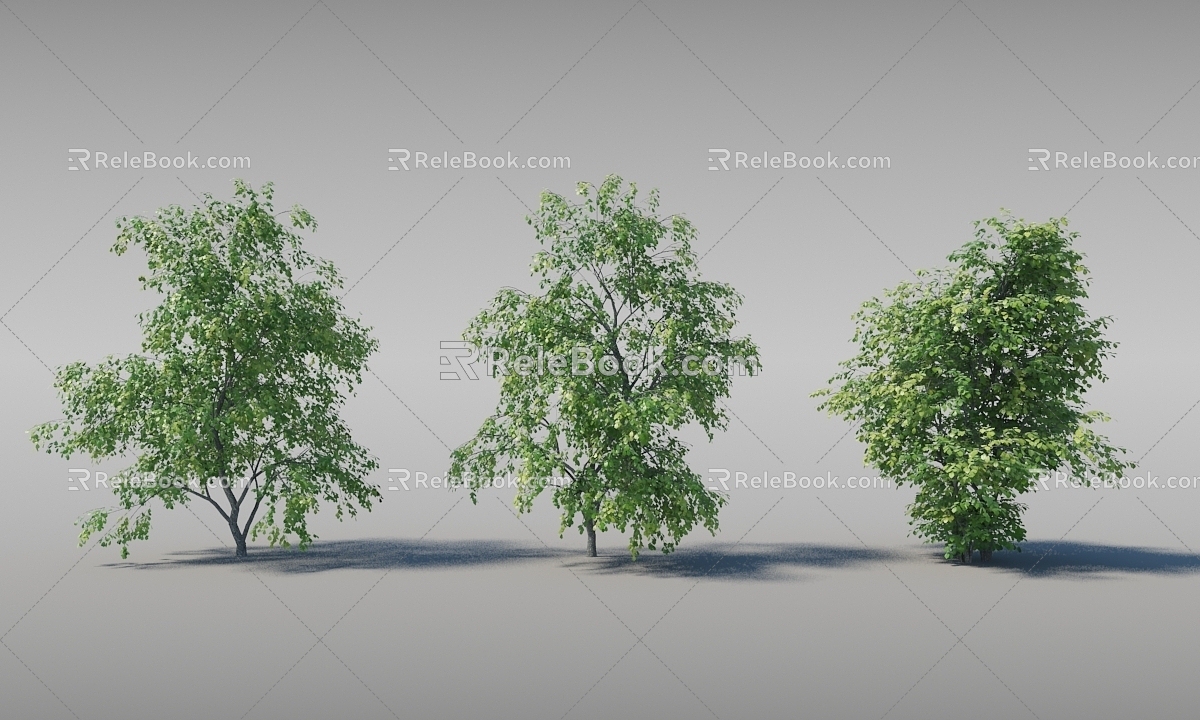 Dynamic Trees Moving Trees 3d model