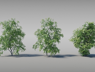 Dynamic Trees Moving Trees 3d model