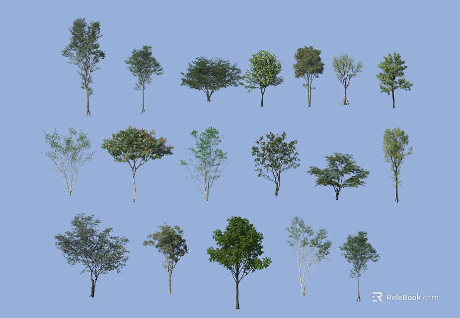 Various Arbor Trees With Diverse Canopy Shapes Isolated On Light Blue Background 3d model