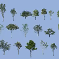 Various Arbor Trees With Diverse Canopy Shapes Isolated On Light Blue Background 3d model