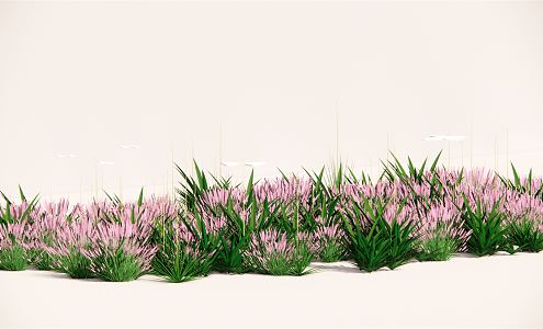 Modern Plant Flower Border Plant Group 3d model