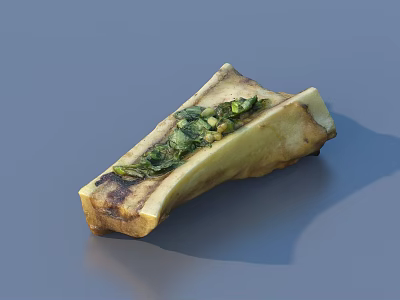 Roasted Bone Shaped Food Topped With Fresh Green Herbs And Charred Surface 3d model