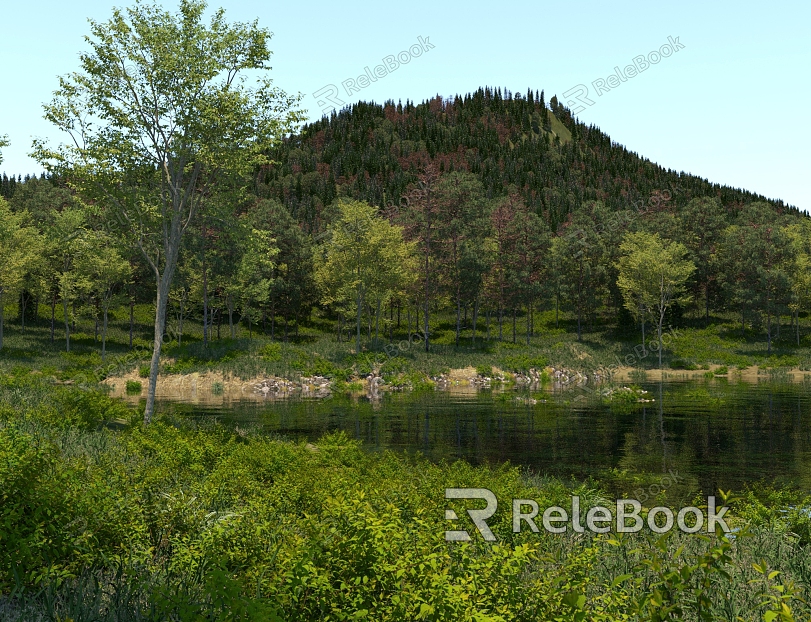 Modern Forest Small Lake model