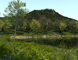 Modern Forest Small Lake 3d model