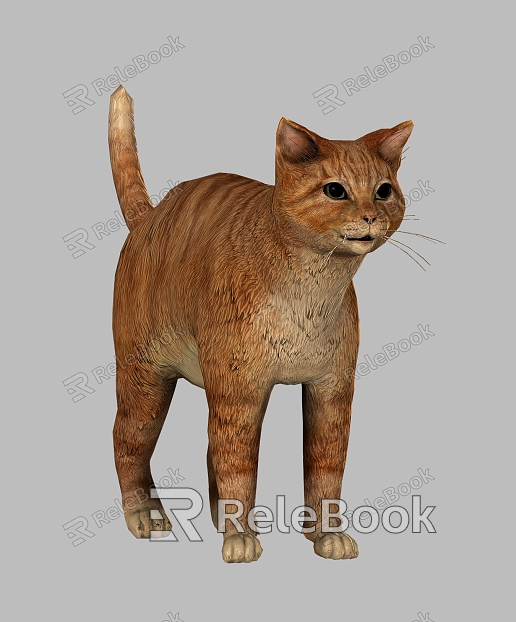 Kitty Cat Kitty Animal Pet Cat Cute Realistic Smokie Cat Kitty model