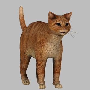 Kitty Cat Kitty Animal Pet Cat Cute Realistic Smokie Cat Kitty 3d model