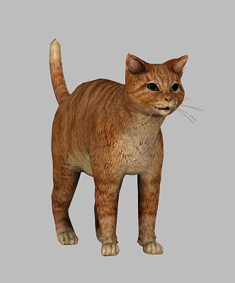 Kitty Cat Kitty Animal Pet Cat Cute Realistic Smokie Cat Kitty 3d model