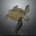 Green Sea Turtle With Brownish Shell And Textured Green Flippers On Dark Background