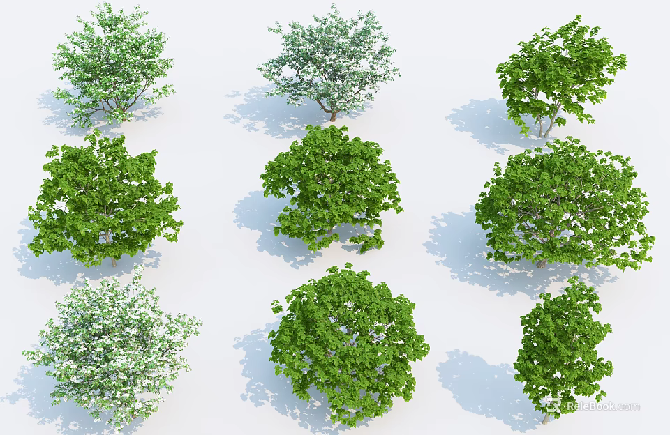 Various Green Arbor Trees With Different Canopy Shapes And Natural Shadows 3d model