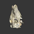Detailed Animal Skull With White Bone Structure And Brown Fossil Marks