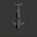 Spotting Dolphin Dolphin Cartoon Dolphin Animation Dolphin Animation Dolphin Animation Character Game Character 3d model