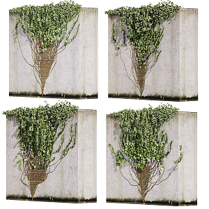 Modern Vine Creeper Vine 3d model