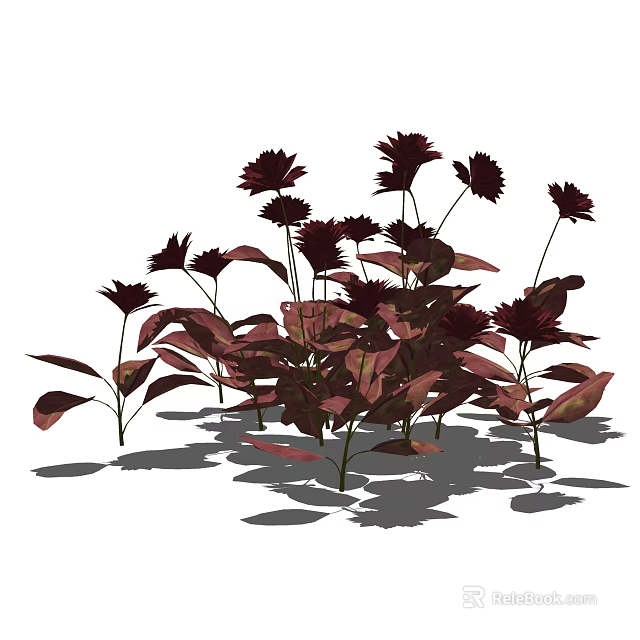 Vibrant Red Flowers With Red Leaves Ornamental Plants For Home Decor 3d model 