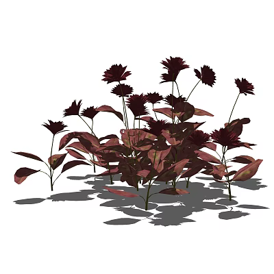 Modern flowers flowers and plants 3d model