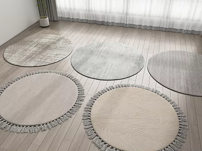 Soft Woven Round Rugs in Beige Gray with Fringe Trim for Wooden Floor Decor 3d model
