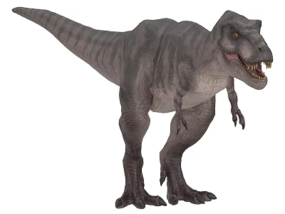 Gray Striped Tyrannosaurus Rex Dinosaur With Open Mouth Sharp Teeth And Short Arms 3d model