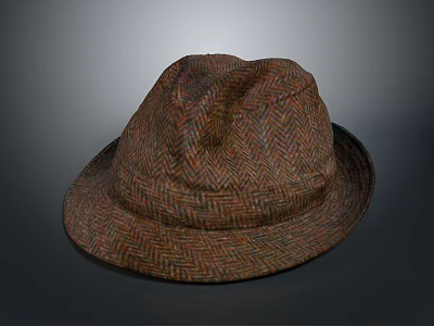 Stylish Casual Woven Herringbone Pattern Hat With Comfortable Fit For Daily Use 3d model