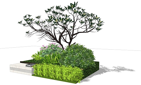 Plant combination SU model 3d model