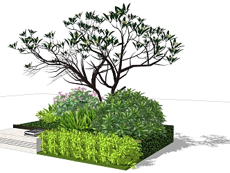 Plant combination SU model 3d model