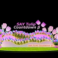 SAY Tulip Countdown B Floral Installation with Pink Purple Tulips and Decorative