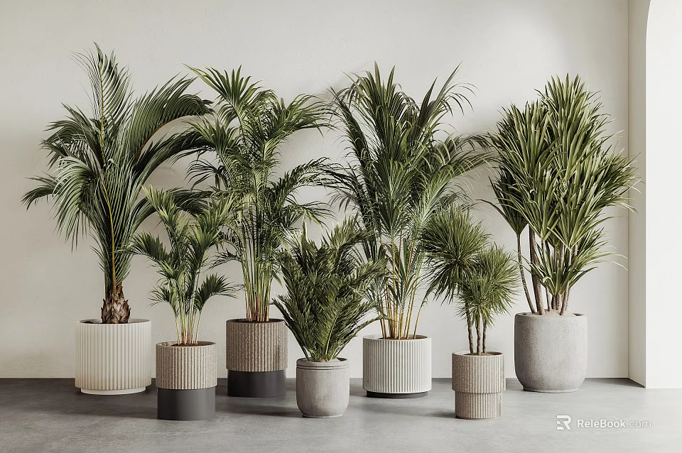 Potted Palm Trees With Various Design Pots In Neutral Indoor Background 3d model 