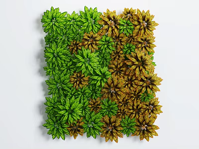 Artistic Square Pattern Display of Green and Yellow Flowers and Plants 3d model