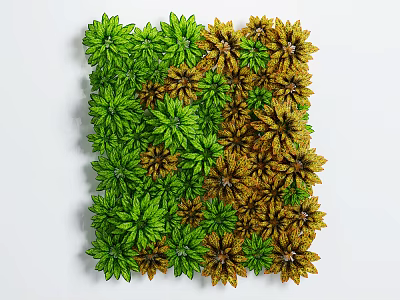 Artistic Square Pattern Display of Green and Yellow Flowers and Plants 3d model
