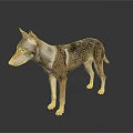 Wolf Dog With Brown White Black Fur In Standing Pose Against Gray Background And Reflective Floor