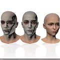 Three Hairless Human Head Models With Detailed Facial Organs And Features