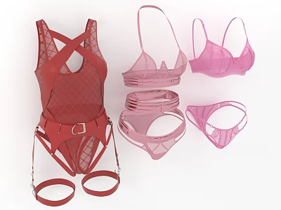 Fashionable Red and Pink Women's Lingerie Sets with Bodysuit Bras Panties and Lace Mesh Design 3d model