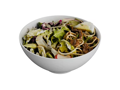 Fresh Mixed Salad Bowl With Green Lettuce Purple Cabbage Noodles And Tender Meat 3d model