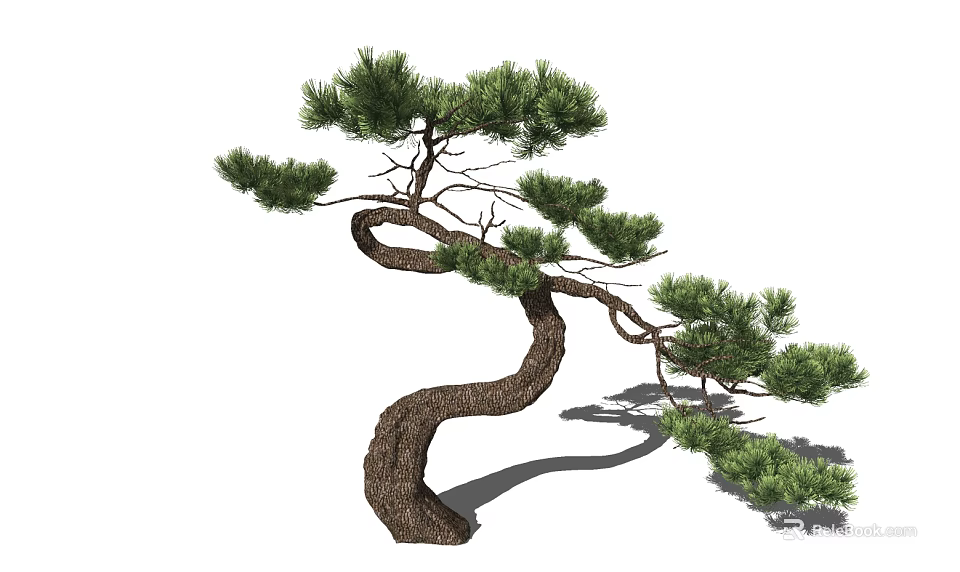 Curved Trunk Pine Tree With Lush Green Foliage For Garden Landscape Design 3d model 