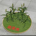 Healthy Growing Green Leafy Vegetable Crops on Circular Display Base 3d model
