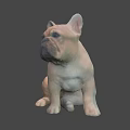 French Bulldog 3D Model Sitting Pose Light Brown Game Movie Character
