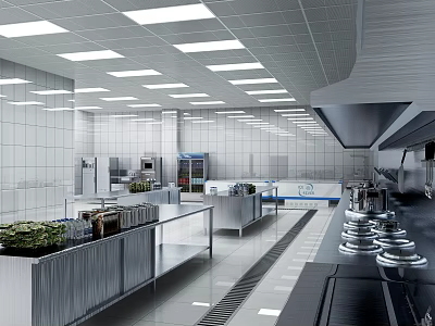 Commercial Kitchen Interior With Stainless Steel Equipment Tile Walls And Ceiling Lighting 3d model
